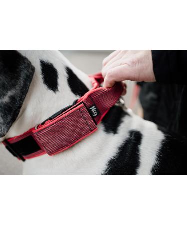 Julius K9 Color & Gray Series Adjustable Neck Band with Handle - 50mm (49-70cm) - Safety Closure - Red-Gray for Dogs - Buy Online on GoSupps.com