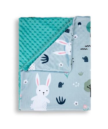 Lil Snuggers Soft Plush Hooded Baby Blankets for Boys with Double Layer Dotted Backing- Minky Aqua Hooded Toddler Blanket with Printed Rabbit for Nursery,Stroller,Crib- 31 x 40.5 Aqua Rabbit