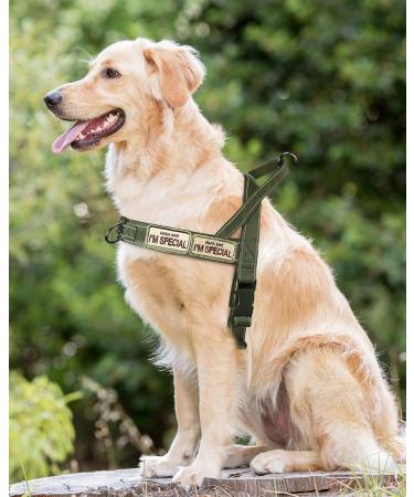 Buy Eeyfarog No Pull Dog Harness for Small & Medium Dogs - Adjustable Reflective Safe & Comfortable - XL Green - International Shipping Available - Buy Online on GoSupps.com
