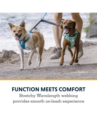 RUFFWEAR Double Track Coupler: Tangle-Free Walking Two Dogs Lead - Granite Grey - Buy Online on GoSupps.com