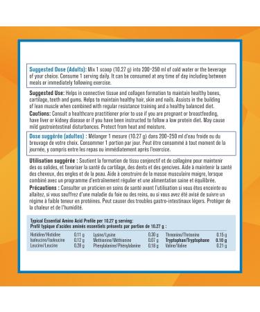 Complete Collagen Protein Powder Supplement - Unflavoured 500 g | Non-GMO antiobiotic-free hormone-free Unflavored 48 Servings (Pack of 1) - Buy Online on GoSupps.com