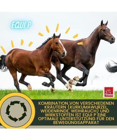 Buy MSM Horse Willow Bark - Equi P Booster with Glucosamine & Chondroitin for Senior Horses | High-Dose Vitamin C & Beer Yeast for Joint Health - Buy Online on GoSupps.com