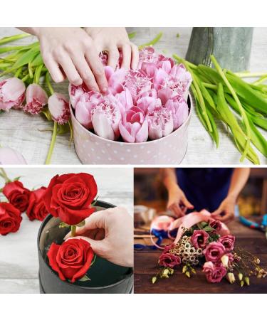 ADXCO 6 Pack Flower Foam Blocks - Large Round DIY Flower Arrangement Kit for Artificial and Fresh Flowers - Wedding and Party Decoration - 6.6 x 1.6 inches - Buy Online on GoSupps.com