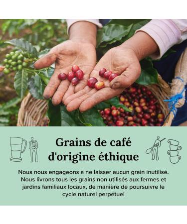 Meletius Specialty Coffee Roasters - Whole Bean Coffee 250g I Medium Roast | Blend | Cookie Dough Milk Chocolate Butter Caramel Digestive Biscuit Flavors | Excellent SCA Rating - Buy Online on GoSupps.com