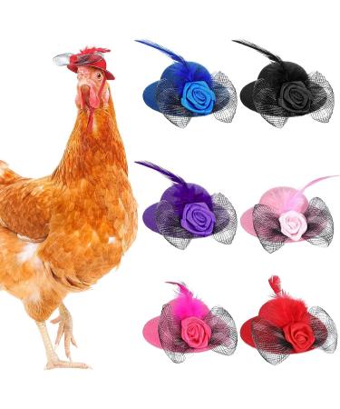 Elastic Chicken Hats for Hens - Set of 6 Funny Accessories for Rooster, Duck, Parrot - Stylish Poultry Costume - Buy Online on GoSupps.com