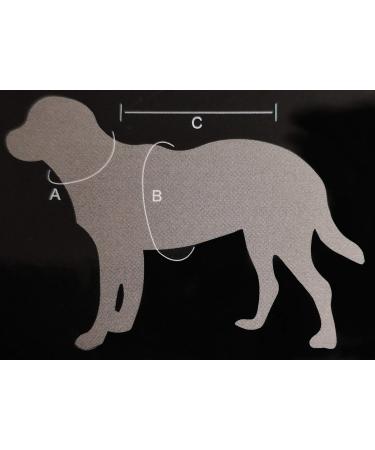 Jeggo Waterproof Dog Coat - All Weather Rain Jacket Vest - Sizes XXS to XXL (Anthracite/Orange) - Buy Online on GoSupps.com