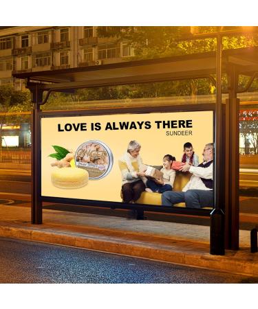 Ginger Hair Shampoo Bar - Organic Moisturizing Shampoo Soap for All Hair Types (2pcs - Buy Online on GoSupps.com