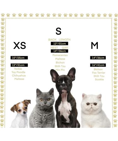 Royal Bengal Tiger Crown Hair Accessory for Dogs & Cats - Medium Size | Lovelyshop Diamond Beads - Buy Online on GoSupps.com