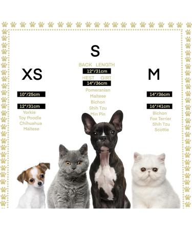 Buy Gilded Royal Saury Pearls Hair Accessories | Lovelyyshop Pallet Collection for Dogs & Cats - Small Size Gold - Buy Online on GoSupps.com