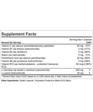 Andrew Lessman Carnislim 250-60 Capsules - Fat Burning & Energy Metabolism Support | Ephedra-Free Formula with 250mg Carnitine & B-Complex | No Additives - 60 Count - Buy Online on GoSupps.com
