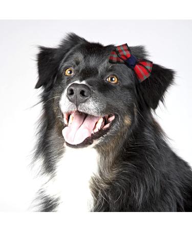 Hayaww 5 PCs Dog Hairpins & Clips - Premium Pet Accessories for Small Dogs & Cats (Red) - Stylish Hair Loops & Arches - Buy Online on GoSupps.com