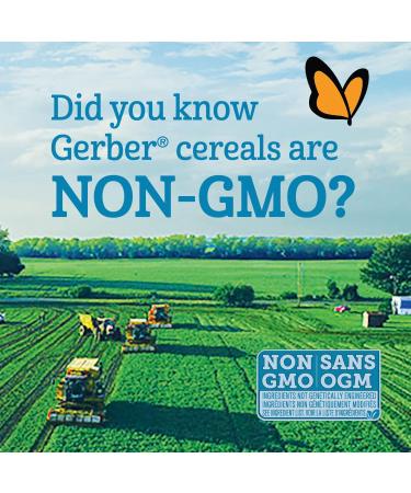 GERBER CEREAL Stage 1 - Rice Baby Food Cereals Starter Stage 227 g 6 Pack - PACKAGING MAY VARY Rice Cereal - Buy Online on GoSupps.com