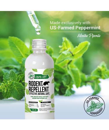 Mighty Mint 8oz Peppermint Oil Rodent Repellent Spray (2-Pack) - Buy Online on GoSupps.com