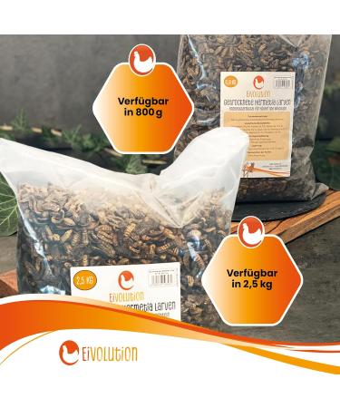 Eigenbilflarl Dried Larvae 800G | High-Protein Chicken Food | Ideal for Birds Fish & Quails | Premium Quality - Buy Online on GoSupps.com