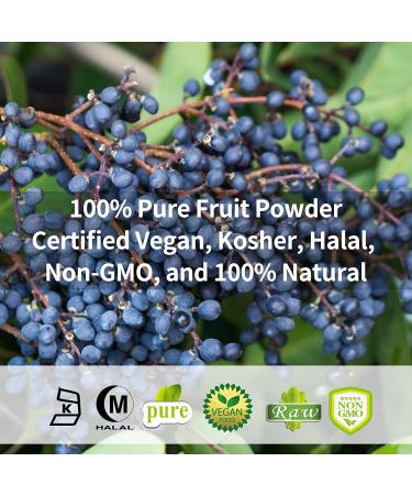 Blueberry Powder 5.3oz (150g) - Freeze Dried Berry Powder | 100% Pure, No Fillers, Non-GMO, Vegan Friendly | 5.29oz Pack - Buy Online on GoSupps.com