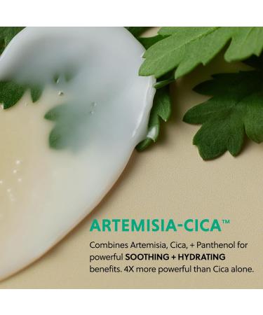 HANYUL Artemisia Toner Pads + Cream - Buy Online on GoSupps.com