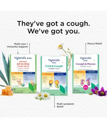 Hyland's Kids Organic All-in-One Grape Cough Syrup Day & Night Two 4 Ounce Bottles All-In-One - Day & Night Value Pack - Buy Online on GoSupps.com