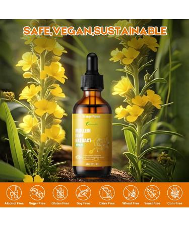 Mullein Drops for Lungs Liquid - Support Respiratory Herbal Supplement Mullein Leaf Extract for Lungs Cleanse with Cordyceps Marshmallow Root & Licorice Root Extract 2 fl oz 1 Pack - Buy Online on GoSupps.com