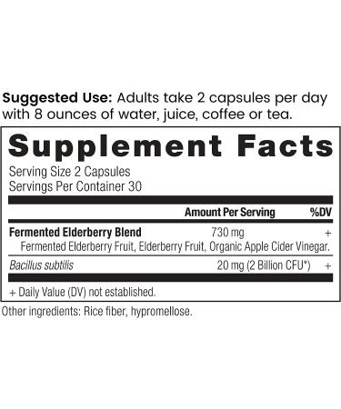 Ancient Nutrition Elderberry + Probiotics | Dr. Axe | 60 Capsules | Immune Support - Buy Online on GoSupps.com
