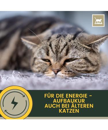 Emma Cats Vitamins - High-Dose Vitamin B Complex Paste for Cats | 15ml Multi-Vitamin with Vitamins A D C | Immune System Support for Kittens & Seniors - Buy Online on GoSupps.com