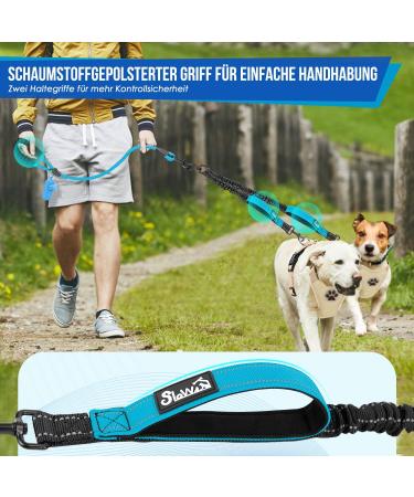 Buy Eyin Double Linen Dog Leash for Large Dogs - Flexible Reflective Healing-Free with 2 Padded Handles (11-68kg) - Blue - Buy Online on GoSupps.com