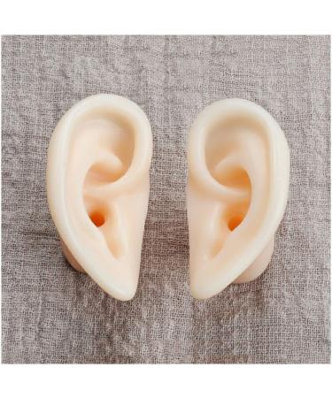 Soft Silicone Ear Model - Artificial Simulation Human Ear - Ear Acupuncture Point Model - for Acupuncture Studs Earring Earphone Bluetooth Headset Display Props