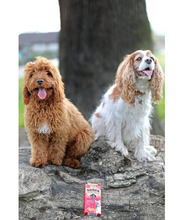 Soopa Cranberry and Sweet Potato Dental Sticks Dog Treat 100 g - Buy Online on GoSupps.com
