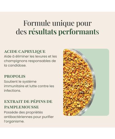 Canda'plus Intestinal Balance Antifungal Synergy (Candida Albicans) Caprylic Acid Oregano 60 Capsules SFB Laboratoires - Buy Online on GoSupps.com