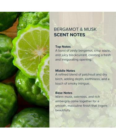 Anthology Bergamot & Musk Perfume Oil Roll-On 9ml | Citrus Musk Woody Notes | Fresh Long-Lasting Fragrance Rollerball - Buy Online on GoSupps.com
