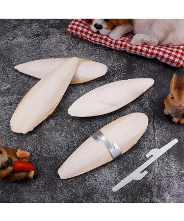 Bohoman 4-Piece Sepia Shell Parrot Chewing Toys with Metal Holders - Ideal for Birds Reptiles & Snails | 12-14cm - Buy Online on GoSupps.com