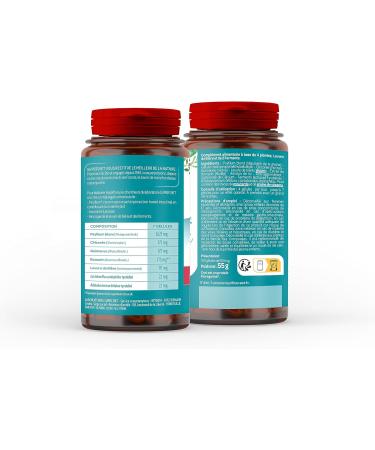 SUPERDIET - HYGIAFLORE - NEW FORMULA - Flat stomach - Complex of 4 Plants (including Psyllium) Brewer's Yeast and Lactic Ferments - 100 Capsules - Buy Online on GoSupps.com