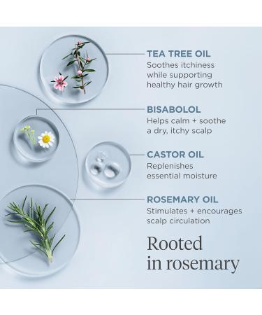 Briogeo Scalp Revival Rosemary Pre-Wash Oil | Vegan Dry Scalp Treatment for Stronger Hair | 3.4 fl oz - Soothe & Moisturize - Buy Online on GoSupps.com