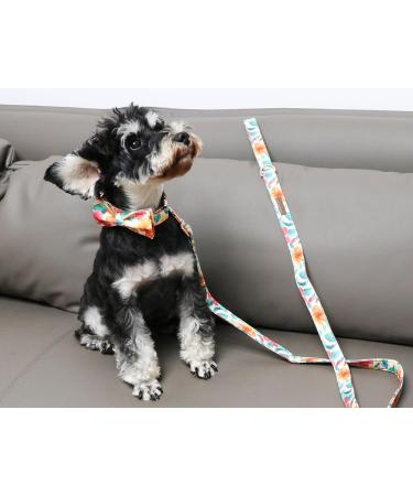 Unique Style Paws Colorful Blumen-Hundeleine | Durable Floral Dog Leash for All Sizes - Orange & Pink Flowers - Buy Online on GoSupps.com