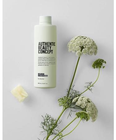 Authentic Beauty Concept Amplify Conditioner for Fine Hair - Adds Body & Volume - Vegan & Cruelty-Free - Silicone-Free - 8.4 Fl Oz - Buy Online on GoSupps.com