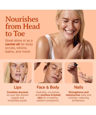 Bella Terra Oils - Organic Carrot Seed Oil 8 oz - Unveiling Organic Carrot's Enzymes & Nutritional Benefits A Cold-Pressed Delight for a Natural Skin Glow - Buy Online on GoSupps.com