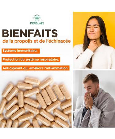 Propolis capsules + Echinacea. 120 capsules x 500 mg (350 mg Propolis + 150 mg Echinacea). Dietary supplement that helps activate the immune system. - Buy Online on GoSupps.com
