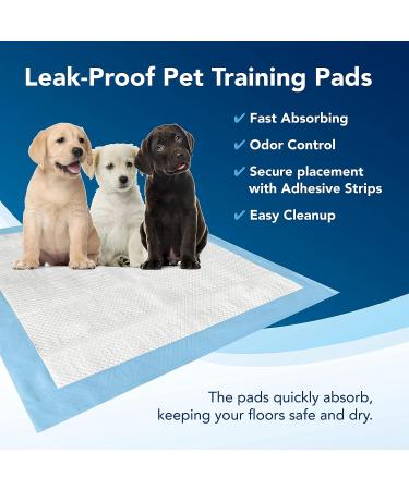 TotalDry Incontinence Bed Pads  FSA HSA Approved Disposable Underpads 30X30 Inches  Extra Absorbent Waterproof Mattress Protector  Pads for Beds for Incontinence Adults(10 Count) 30x30 Inch (Pack of 10) - Buy Online on GoSupps.com