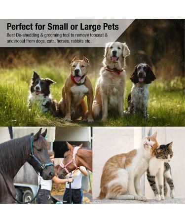 King Komb Deshedding Tool | Self Cleaning | Retractable Blades | 3 Metal Edges | Rubber Bristles | Large - Buy Online on GoSupps.com