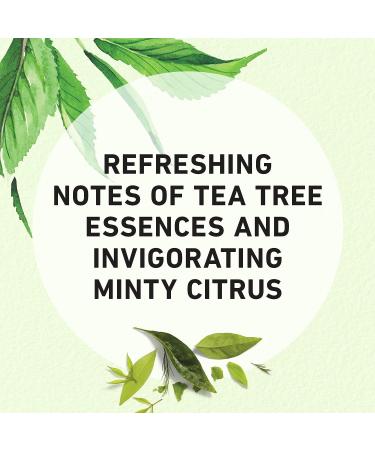 Herbal Essences Tea Tree & Jasmine Clarifying Shampoo + Purifying Conditioner Bundle 20.2 Fl Oz - Buy Online on GoSupps.com