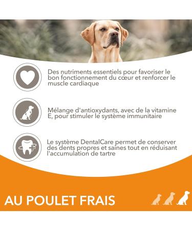 IAMS Dry Dog Food for Large Breeds with Fresh Chicken 7+ Years 3kg - Buy Online on GoSupps.com