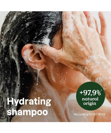 Buy ATTITUDE Hydrating Hair Shampoo - EWG Verified Vegan Essential Oils Refillable Bottle Peppermint & Sweet Orange 16 Fl Oz - International Shipping  - Buy Online on GoSupps.com