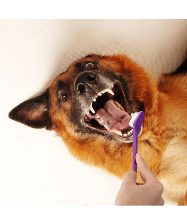 Pack of 4 Double Ended Dog & Cat Dental Oral Care Toothbrush Healthy Pet Grooming Tool Teeth Brush for Dogs Tooth Cleaner Care for Small to Large Dogs Cats - Buy Online on GoSupps.com