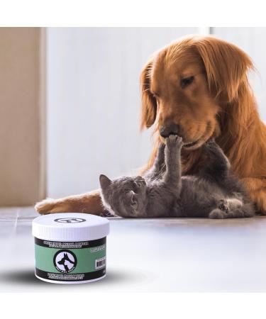 Only One Treats Green Lipped Mussel Powder Hip and Joint Supplement for Dogs and Cats Natural Pet Treats with Glucosamine to Improve Pet Mobility Cardiovascular and Immune Health (150 g) - Buy Online on GoSupps.com