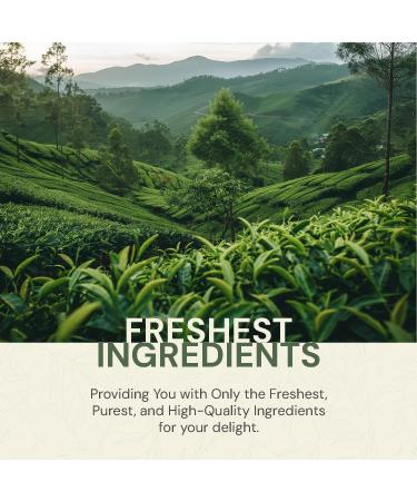 BASILUR 7586 Orient Moroccan Mint 100g  - Buy Online on GoSupps.com