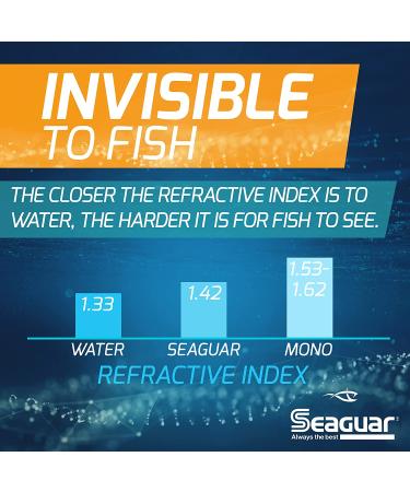 Seaguar InvizX 100% Fluorocarbon 1000yd 8lb, Clear, One Size (08VZ1000)