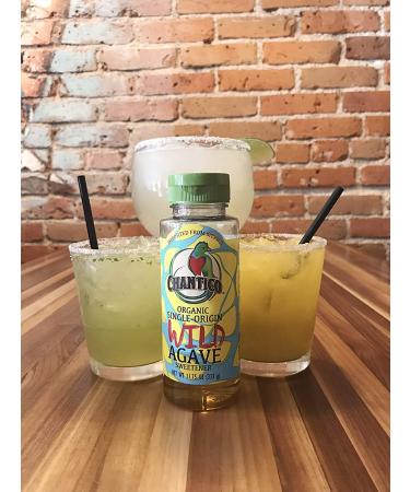 Chantico Agave Sweetener 3-Pack - Organic Natural Sugar Substitute with Low Glycemic Index - Stevia Alternative - Premium Taste - 11.75oz Bottles - Buy Online on GoSupps.com