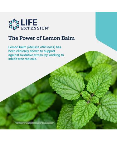 Life Extension X-R Shield - 90 Vegetarian Capsules for Enhanced Cellular Protection - Buy Online on GoSupps.com