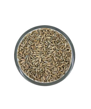 10lbs Organic Rye Berries | Non-GMO USDA Certified | Executive Deals - Buy Online on GoSupps.com