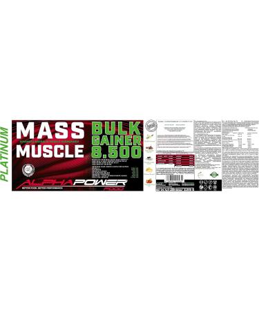 Buy Alphapower Food Maas Whey Protein - 2kg Hazelnut Toffee Muscle Weight Gainer with Creatine BCAA & MCT Oil for Hardgainers - Boost Muscle Mass & Recovery - Buy Online on GoSupps.com