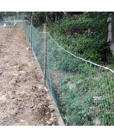 Bird Netting for Garden for Bird Poultry Aviary Safety Netting Heavy Duty Chicken Netting 1.6 Inch Square Mesh Size (Hole Distance : 4cm Hole Size : 1x1m/3.28x3.28ft) - Buy Online on GoSupps.com